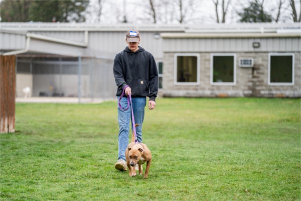Ethan Doyle walks one of the shelter dogs at The League for Animal Welfare.