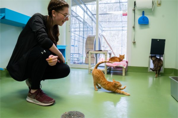 Joyah Burri checks in with kittens Laker, Anchor and Philly at The League for Animal Welfare during an Alternative Breaks trip to the Ohio animal shelter.