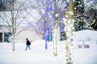 person walking on snowy sidewalk, with lit trees in foreground