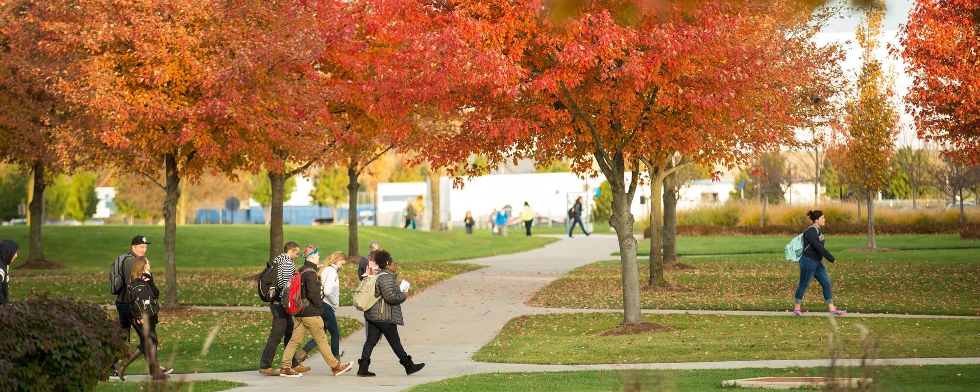 Undergraduate Application - Admissions - Grand Valley State University