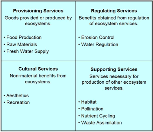 ecosystem-services-invest-grand-valley-state-university