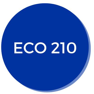 Button linking to ECO 210 Content