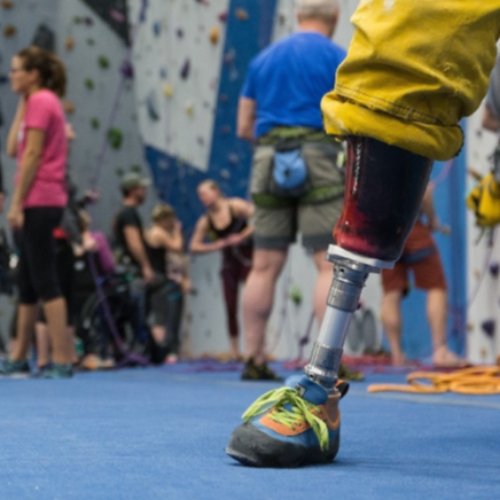 Adaptive Rock Climbing