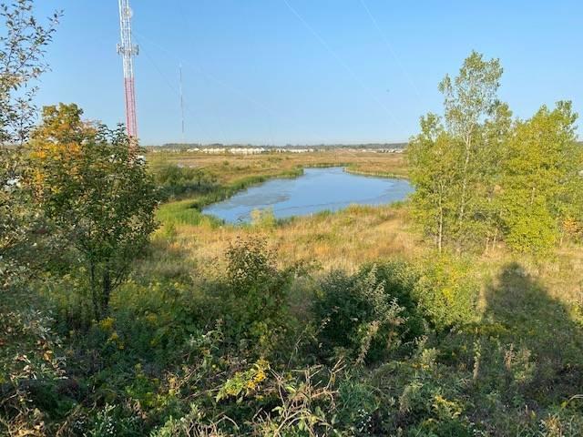 trees and pond overlooking the GVSU trails