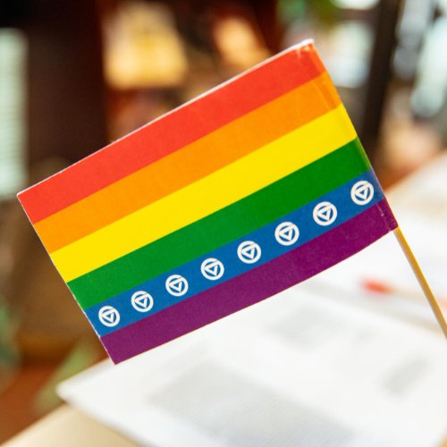 Pride flag with GVSU logo