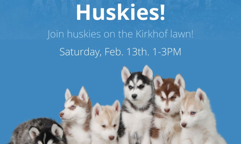 Huskies!