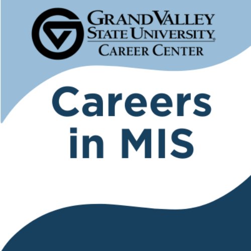 Careers in MIS