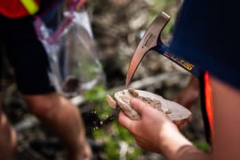 a student holds a fossil and a small pick ax to chip at the edge