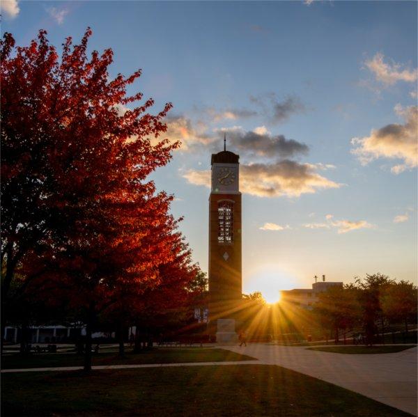 The Cook Carillon Tower at at sunrise.