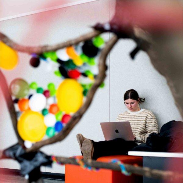 A student sits on an orange bench while using a laptop framed by colorful artwork.