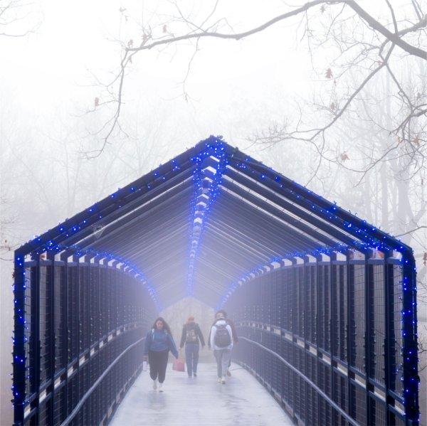 College students walk across a blue bridge in the fog.