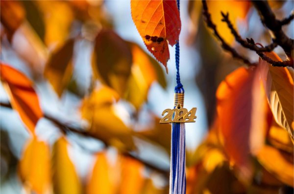  A 2024 graduation tassel hangs in a tree with vibrant orange autumn color.