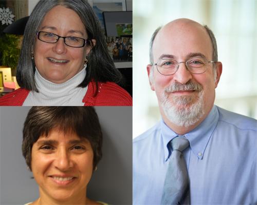 Clockwise from top left, Cindy Shindledecker, Bruce Gordon and Lois Brako will present keynote addresses at the Michigan Research Ethics Conference.
