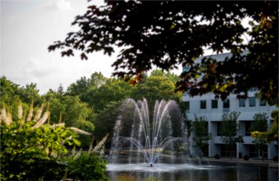 A fountain on a college campus is seen through green foliage.