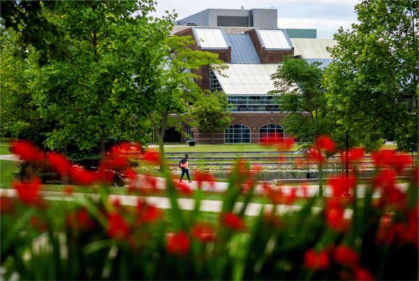  A person walks among red flowers on a college campus.