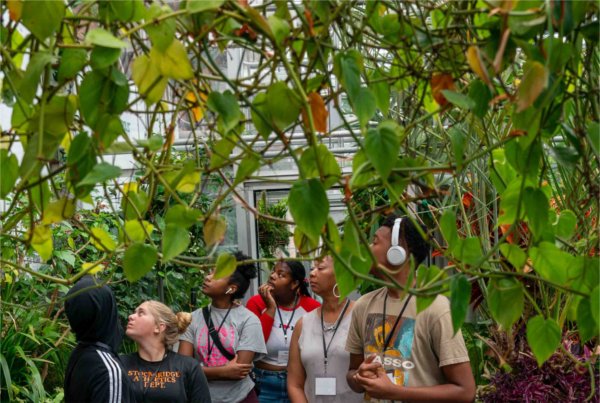 High school students look around as they tour a greenhouse.