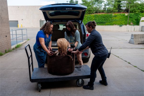 Three people load a plant on a cart into the back of a vehicle.