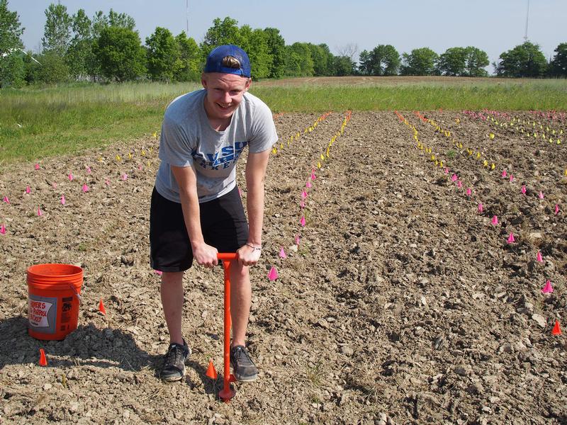 Jacob McLaughlin is pictured planting willow cuttings at the Sustainable Agriculture Project. Grant money from the Office of Undergraduate Research and Scholarship made the project possible.