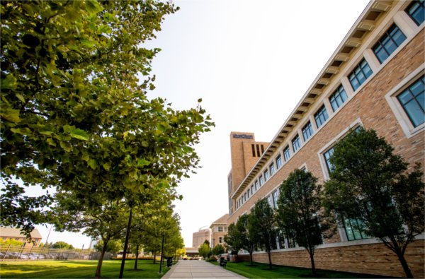 exterior photo of Seidman Center with sidewalk through center and green, full trees on left