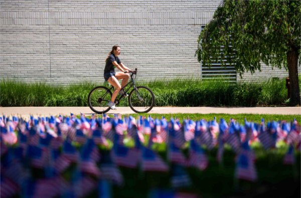  A person rides a bike past a lawn-full of small American flags. 