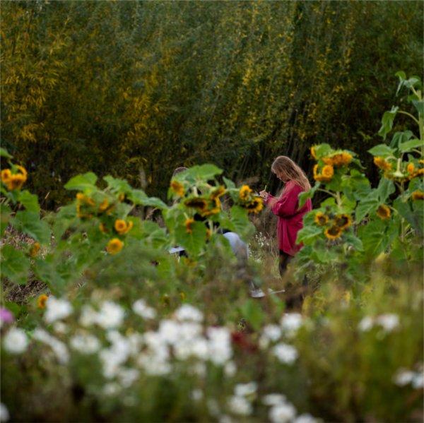 A student takes notes in a field of flowers at the Sustainable Agriculture Project.