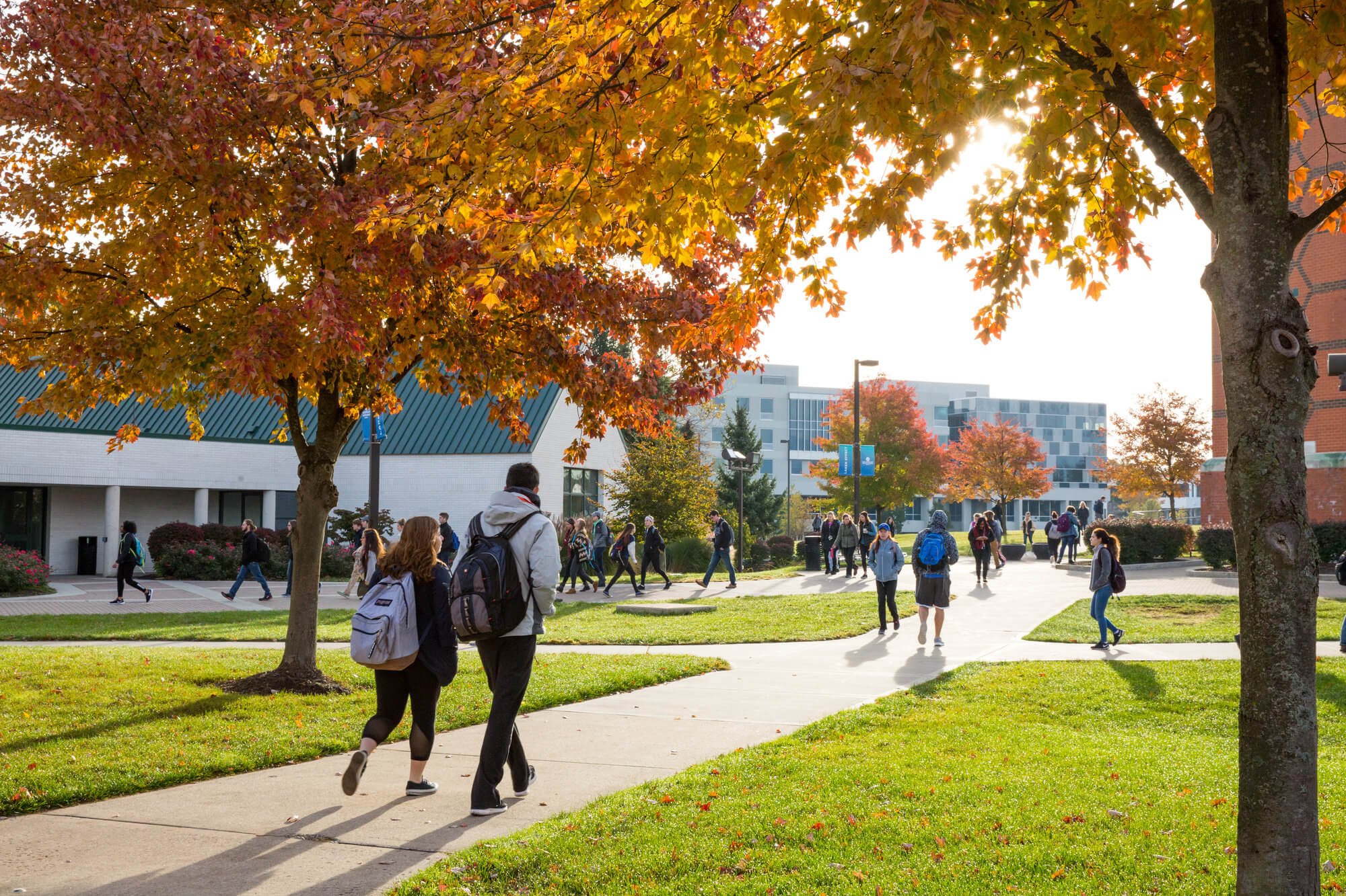 GVSU again named a top Midwest university - GVNext