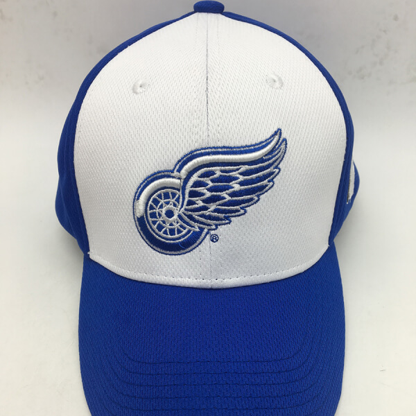 photo of baseball hat with Red Wings logo in blue