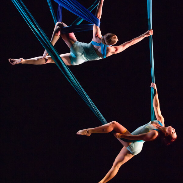 Photo of Aerial Dance Chicago performing