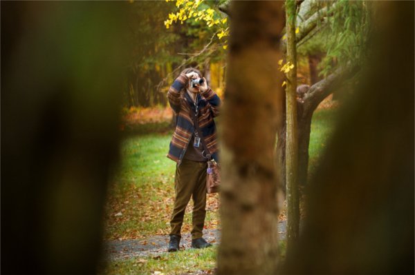  A college student takes a photo of fall leaves in an arboretum. 