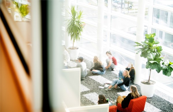  College students sit on the floor in a space decorated with green potted plants and orange chairs. 