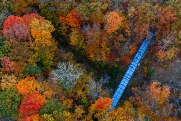  A drone photo of a blue bridge among colorful autumn leaves. 