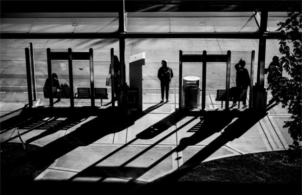 People cast shadows as they wait for the afternoon bus on a college campus.  