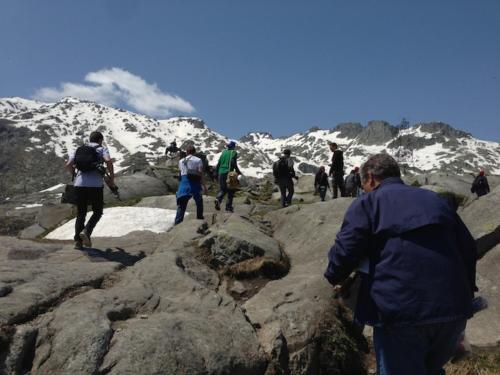 Grand Valley students hike in the Alps while on a summer exchange trip in Switzerland.