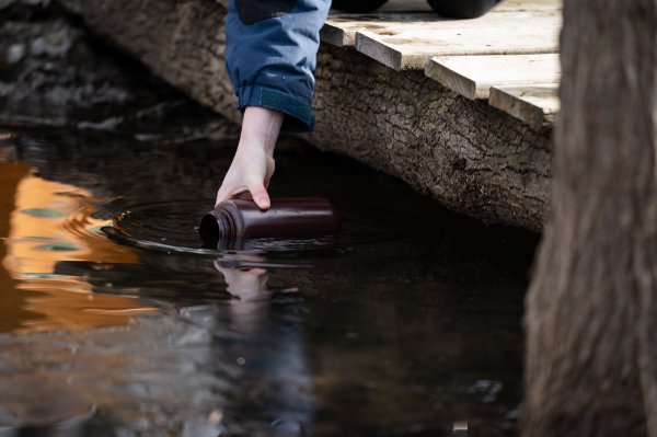 GVSU researcher collects water sample from a tributary in Grand Rapids.