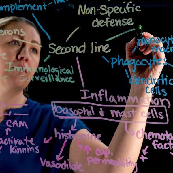 A professor writes on a light board with colorful dry erase markers.