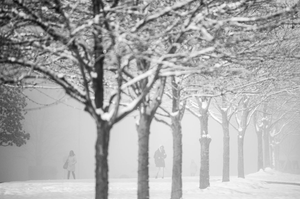 GVSU in photos, November 2022: Snowfall beauty and fun around Zumberge ...