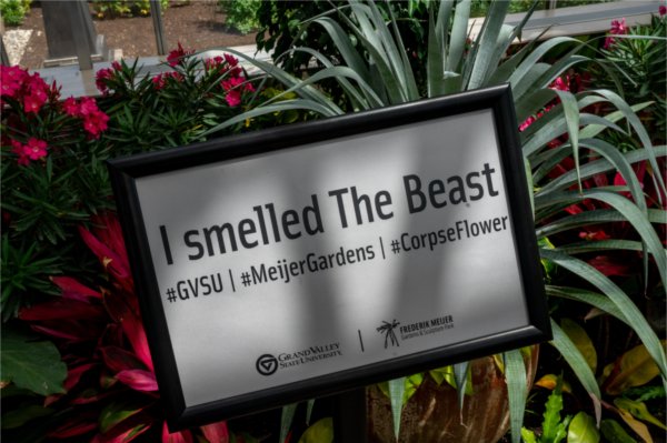 A sign surrounded by plants and flowers says "I smelled The Beast" #GVSU | #MeijerGardens | #CorpseFlower. The sign also contains the logos for Grand Valley State University and Frederik Meijer Gardens & Sculpture Park.