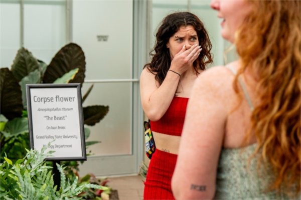 A person holds their hand over their mouth while scowling. They are standing next to a sign that says "Corpse flower On loan from: Grand Valley State University Biology Department "The Beast"  Amorphophallus titanum