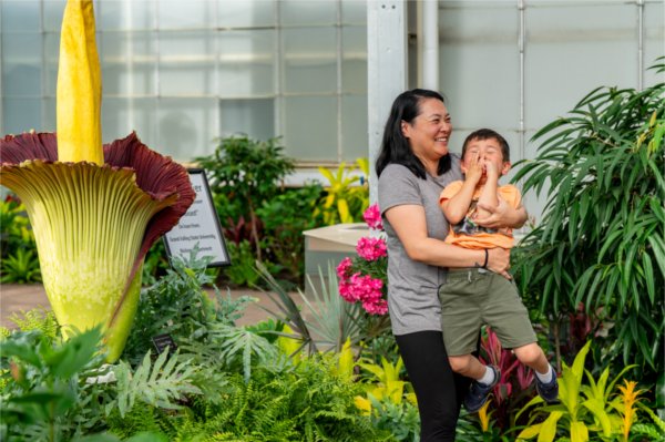 A person laughs while holding their child, who is holding their hand over their nose. The corpse flower is in the background.