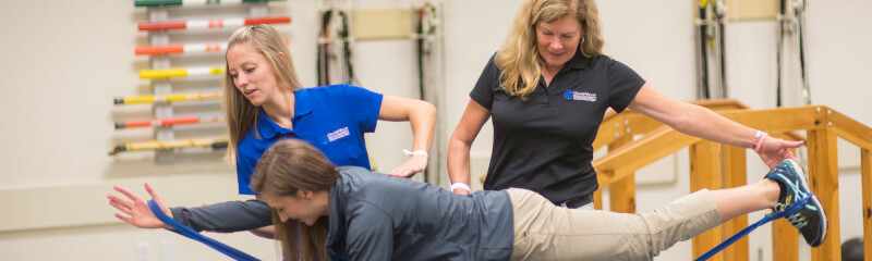 Physical Therapy, D.P.T. - Majors, Programs, Certificates, and Badges ...